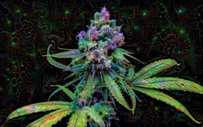 CBD Öl bei Depression: Stand der Forschung